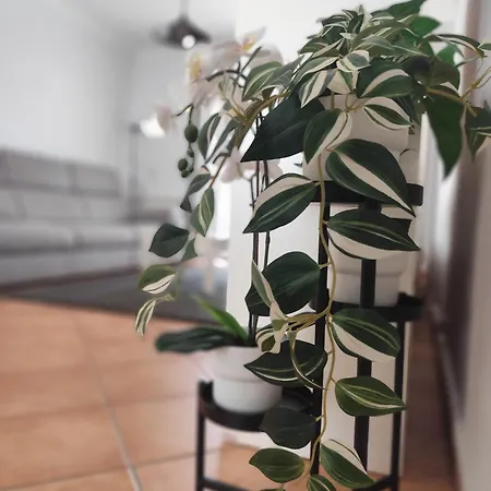 Capela's ゲストハウス