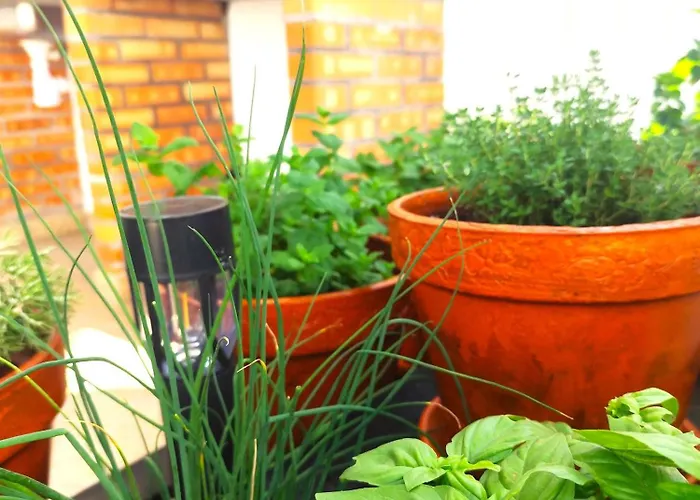 Capela's Casa de hóspedes Santa Cruz (Oeste)