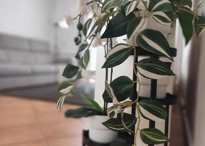 Capela's Casa de hóspedes